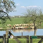 Hotel De Os En Het Paard