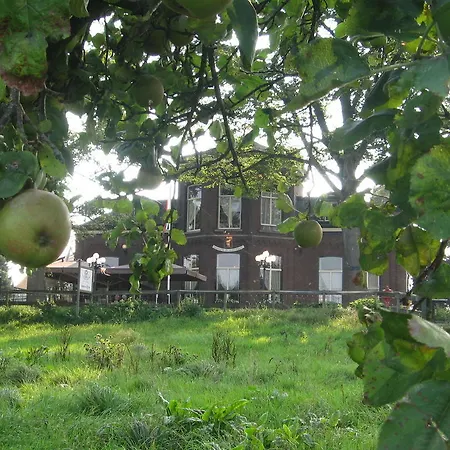 Otel De Os En Het Paard Deil