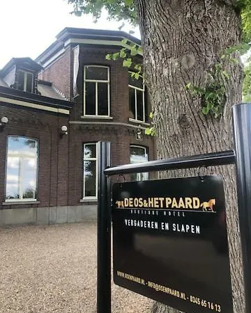 מלון De Os En Het Paard