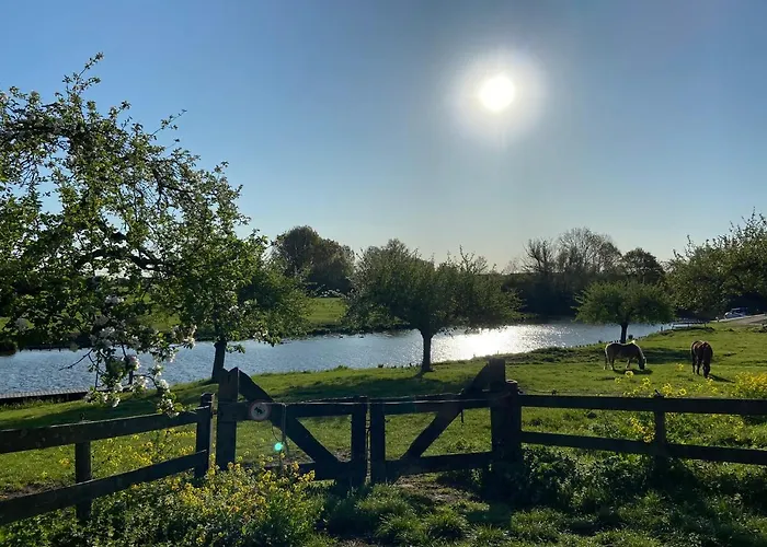 牛马酒店 3* Deil