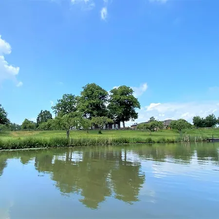 De Os En Het Paard 3*