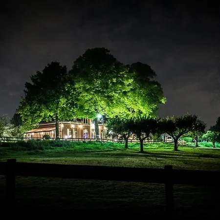 De Os En Het Paard Deil