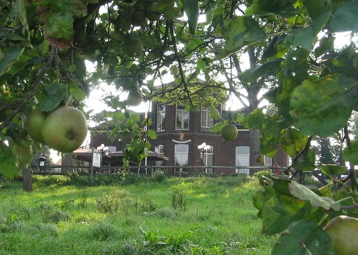 Hotel De Os En Het Paard Deil