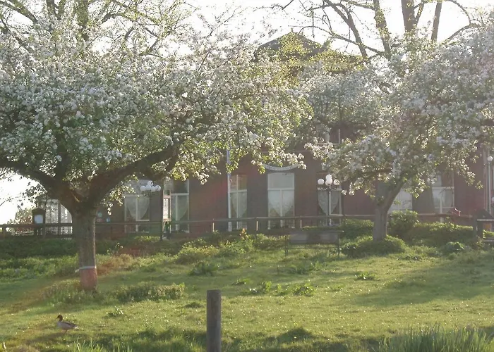Hotel De Os En Het Paard Deil