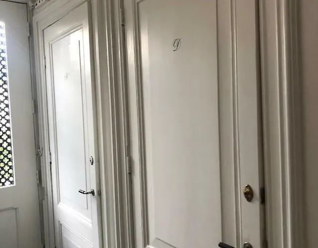 De Os En Het Paard 3*