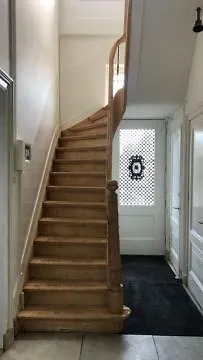 De Os En Het Paard 3*